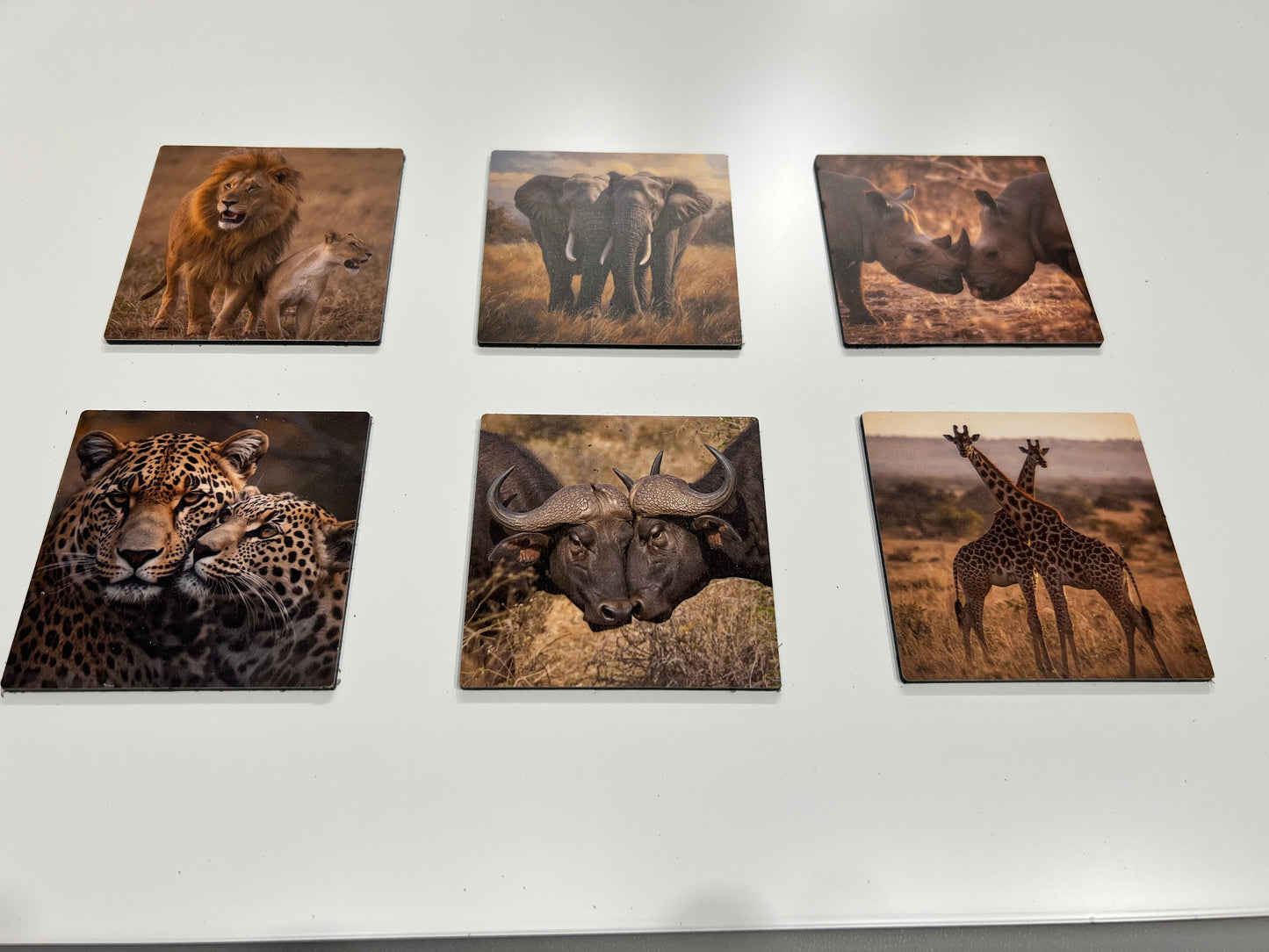 Africa Big Game Coasters | Set of 6